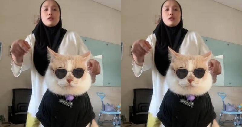 TikTok.com/cicichania96